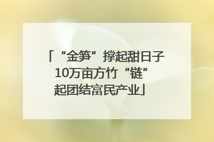“金笋”撑起甜日子 10万亩方竹“链”起团结富民产业
