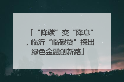 “降碳”变“降息”，临沂“临碳贷”探出绿色金融创新路