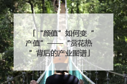 “颜值”如何变“产值”——“赏花热”背后的产业图谱