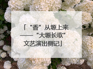 “香”从塬上来——“大塬长歌”文艺演出侧记