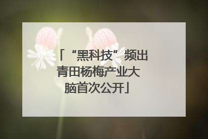“黑科技”频出 青田杨梅产业大脑首次公开