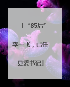 “85后”李一飞，已任县委书记