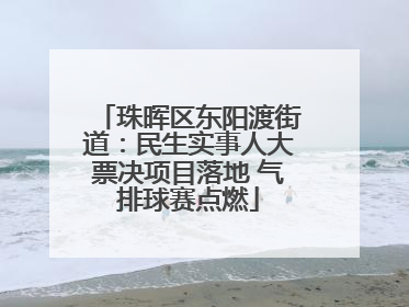 珠晖区东阳渡街道：民生实事人大票决项目落地 气排球赛点燃