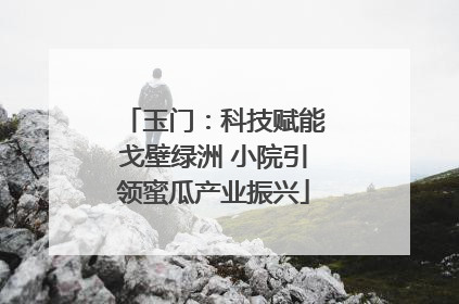 玉门：科技赋能戈壁绿洲 小院引领蜜瓜产业振兴