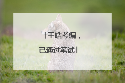 王皓考编，已通过笔试