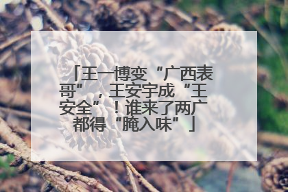 王一博变“广西表哥”，王安宇成“王安全”！谁来了两广都得“腌入味”