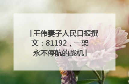 王伟妻子人民日报撰文：81192，一架永不停航的战机
