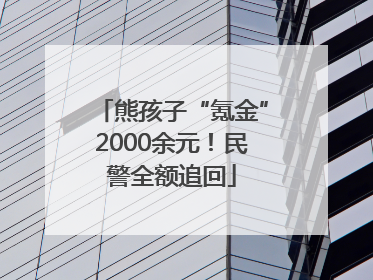 熊孩子“氪金”2000余元！民警全额追回