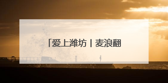 爱上潍坊丨麦浪翻涌里写满丰收故事