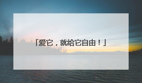 爱它，就给它自由！
