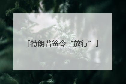 特朗普签令“放行”