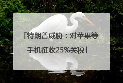 特朗普威胁：对苹果等手机征收25%关税