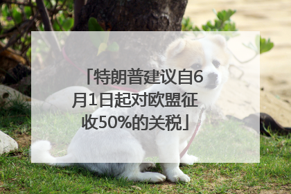 特朗普建议自6月1日起对欧盟征收50%的关税