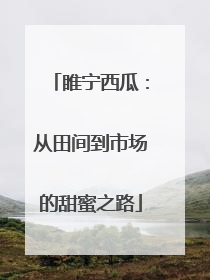 睢宁西瓜：从田间到市场的甜蜜之路
