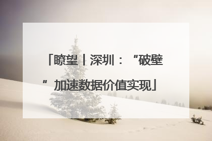 瞭望丨深圳：“破壁”加速数据价值实现