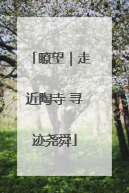 瞭望｜走近陶寺 寻迹尧舜