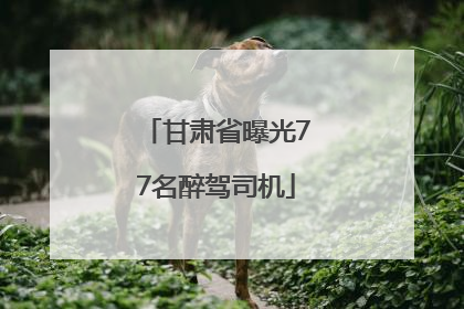 甘肃省曝光77名醉驾司机