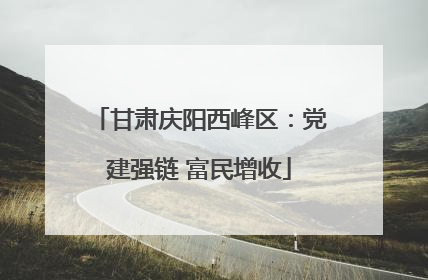 甘肃庆阳西峰区：党建强链 富民增收