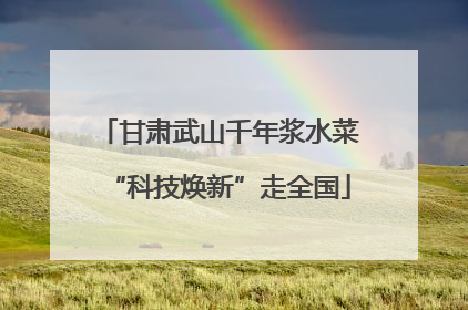 甘肃武山千年浆水菜“科技焕新”走全国