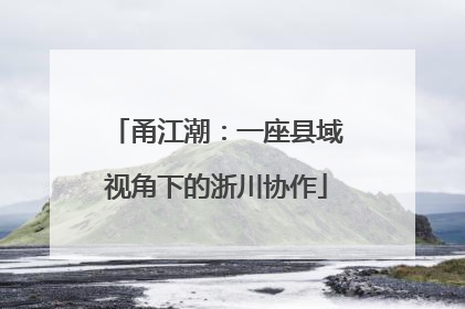 甬江潮：一座县域视角下的浙川协作