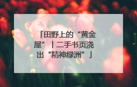 田野上的“黄金屋”丨二手书页浇出“精神绿洲”
