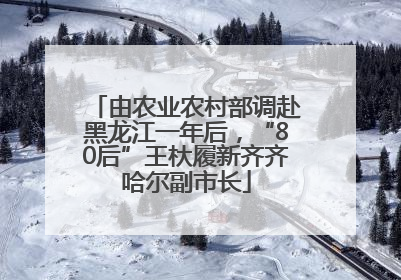 由农业农村部调赴黑龙江一年后，“80后”王杕履新齐齐哈尔副市长