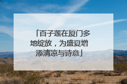 百子莲在厦门多地绽放，为盛夏增添清凉与诗意