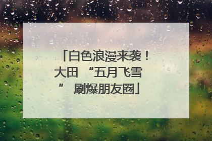 白色浪漫来袭！大田 “五月飞雪” 刷爆朋友圈