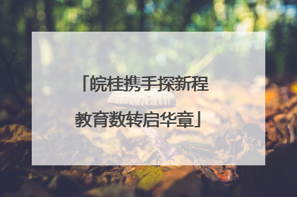 皖桂携手探新程 教育数转启华章