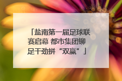 盐南第一届足球联赛启幕 都市集团铆足干劲拼“双赢”