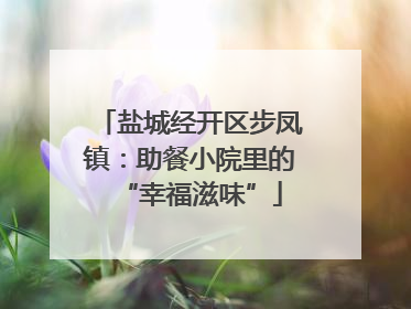 盐城经开区步凤镇：助餐小院里的“幸福滋味”