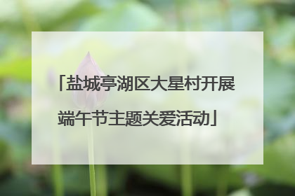 盐城亭湖区大星村开展端午节主题关爱活动