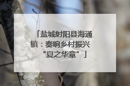 盐城射阳县海通镇：奏响乡村振兴“夏之华章”