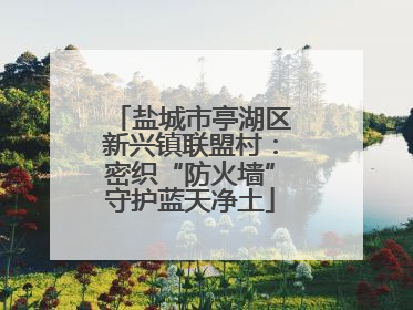 盐城市亭湖区新兴镇联盟村：密织“防火墙”守护蓝天净土
