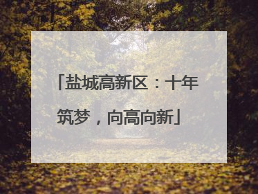 盐城高新区：十年筑梦，向高向新