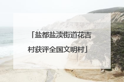 盐都盐渎街道花吉村获评全国文明村