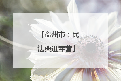盘州市：民法典进军营