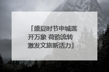 盛夏时节申城莲开万象 荷韵流转激发文旅新活力