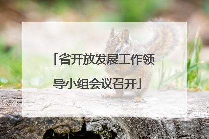 省开放发展工作领导小组会议召开