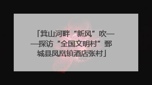 箕山河畔“新风”吹——探访“全国文明村”鄄城县凤凰镇酒店张村