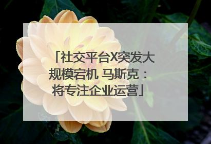 社交平台X突发大规模宕机 马斯克：将专注企业运营