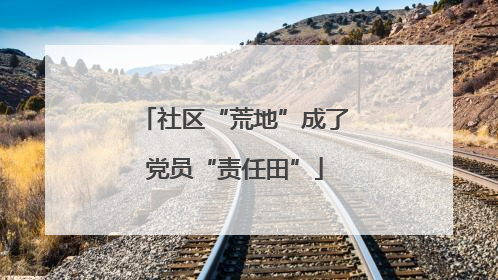 社区“荒地”成了党员“责任田”