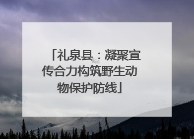礼泉县：凝聚宣传合力构筑野生动物保护防线