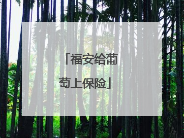 福安给葡萄上保险