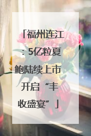 福州连江：5亿粒夏鲍陆续上市 开启“丰收盛宴”