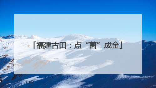 福建古田：点“菌”成金