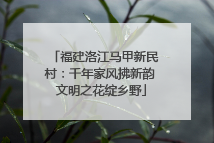 福建洛江马甲新民村：千年家风拂新韵 文明之花绽乡野