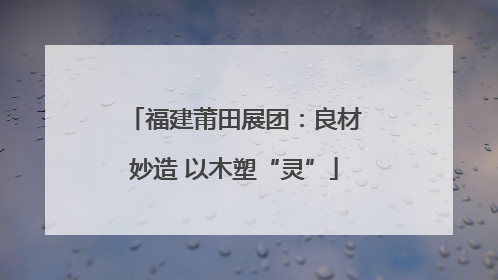 福建莆田展团：良材妙造 以木塑“灵”