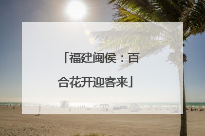 福建闽侯：百合花开迎客来