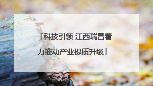 科技引领 江西瑞昌着力推动产业提质升级